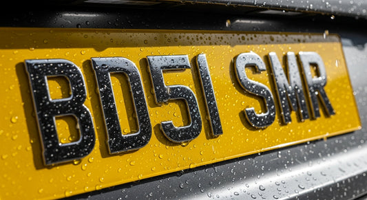 Weather-Proofing Your Plates: How to Protect Them in Every Season